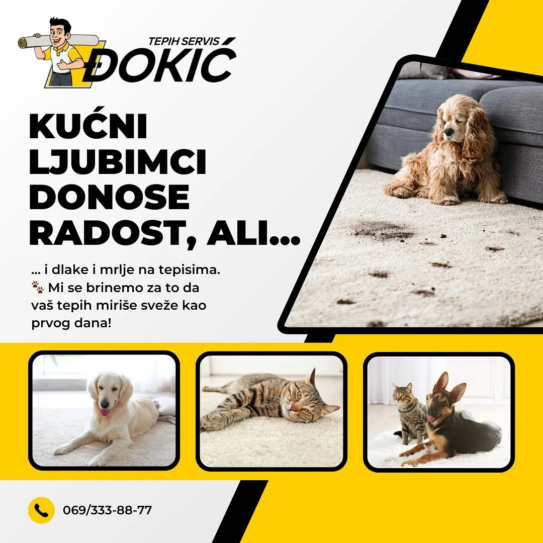 Kućni ljubimci i tepisi